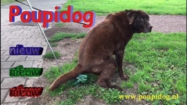 Poupidog .jpg
